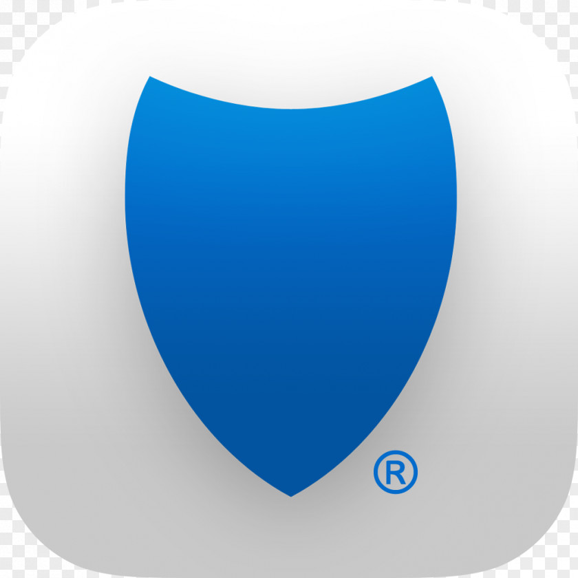 Blue Shield Brand Logo Font PNG