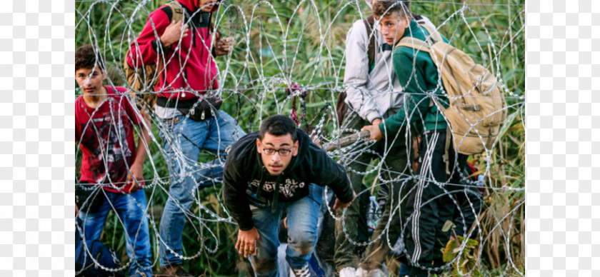 International Migrants Day European Migrant Crisis Refugee Human Migration Immigration PNG