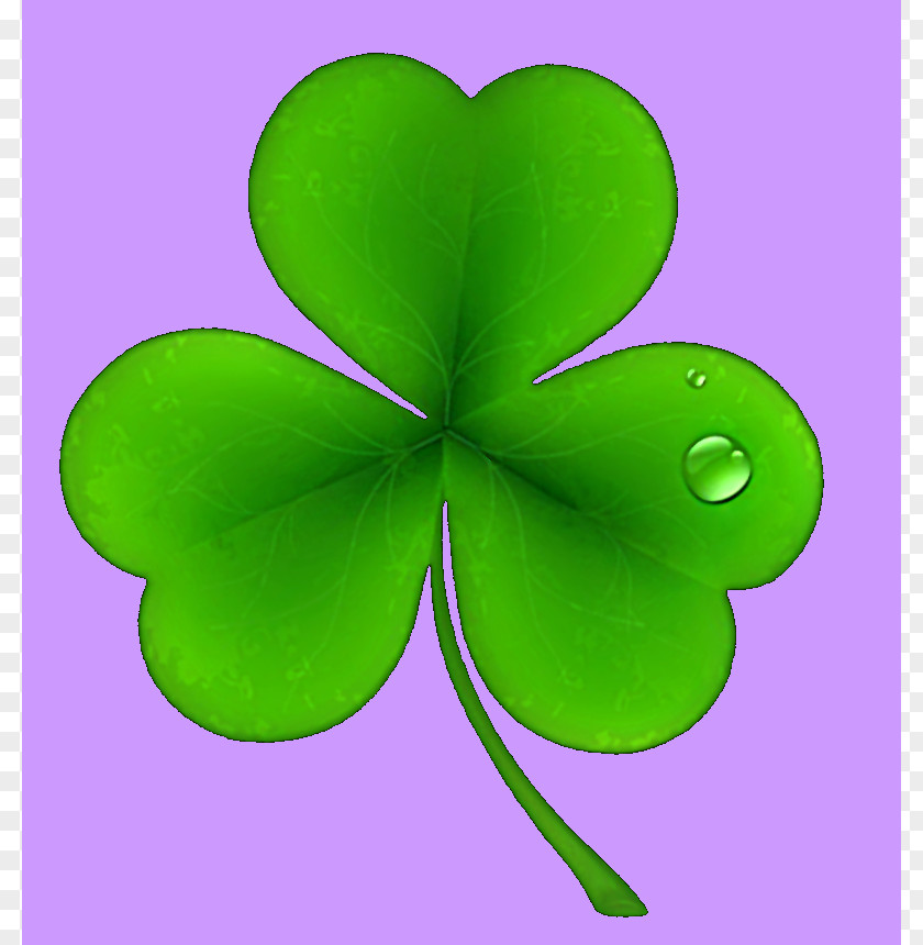 Saint Patrick Ireland Patrick's Day National ShamrockFest Public Holiday Clip Art PNG