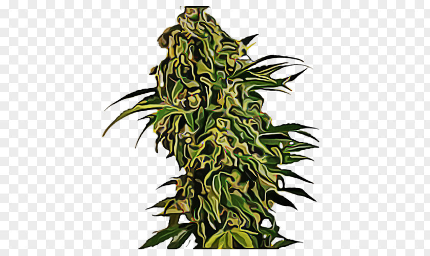 Shrub Plant Stem Cannabis Leaf Background PNG