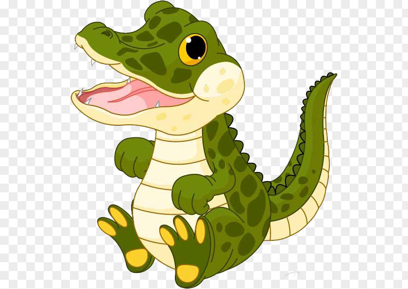 Alligator Crocodile Stock Photography Clip Art PNG