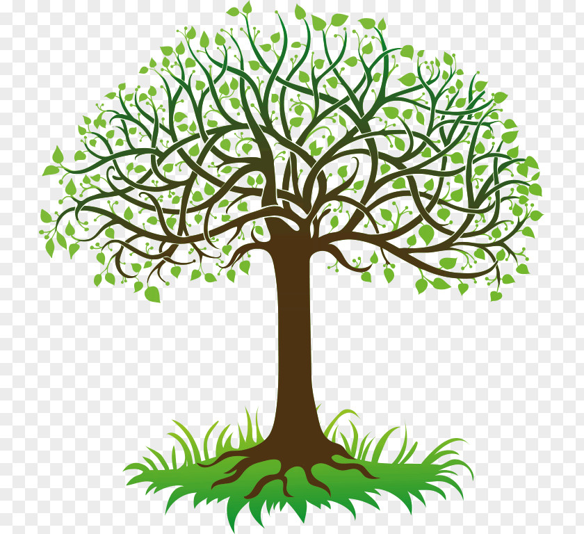 Gradient White Tree Root Clip Art PNG