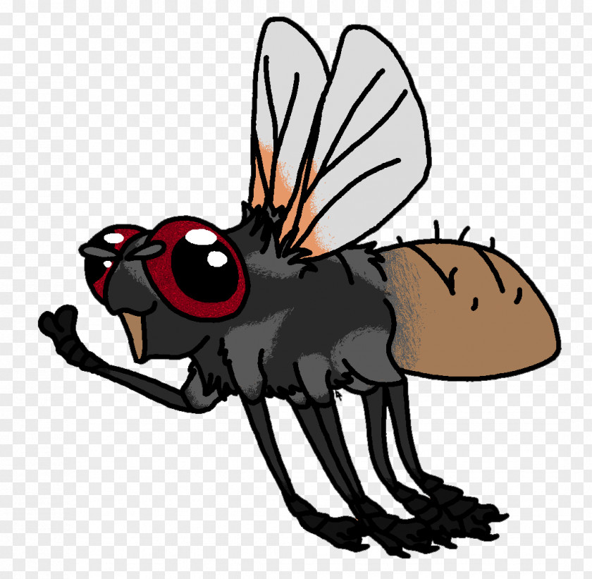 Insect Horse Pollinator Cartoon Clip Art PNG