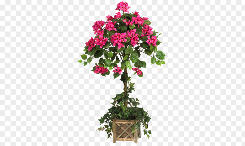 Lantana Verbena Family Tree Background PNG