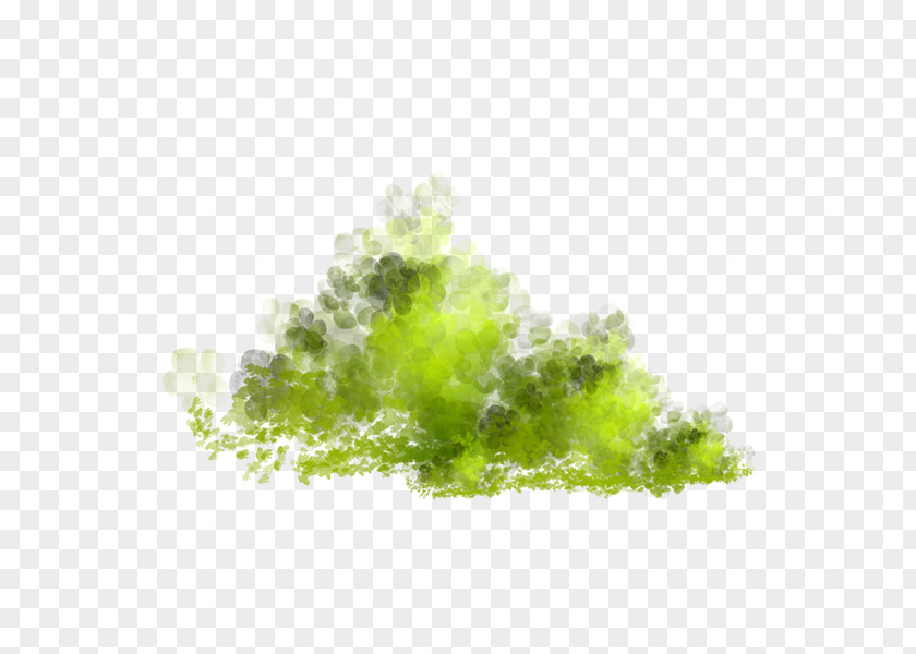 Meadow Lawn Grass Clip Art PNG