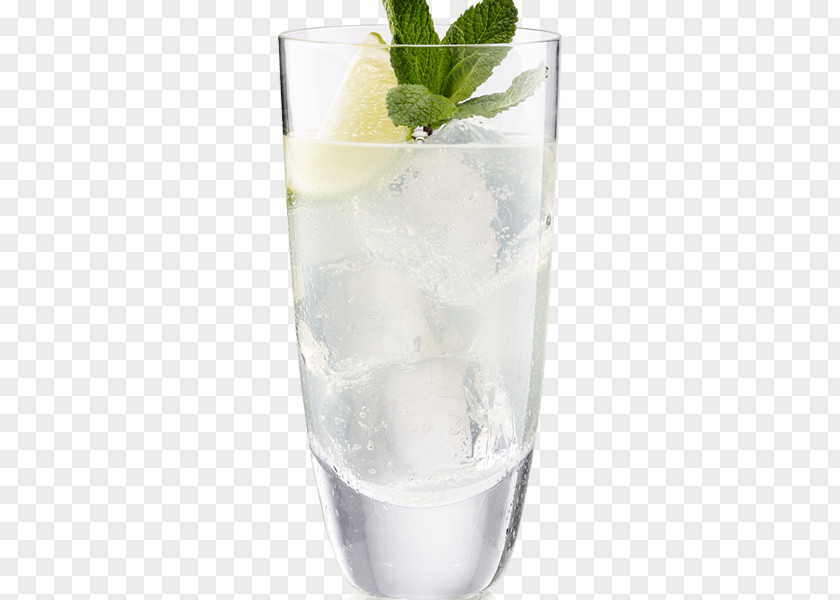 Mojito Tonic Water Cocktail Vodka Rickey Gin And PNG
