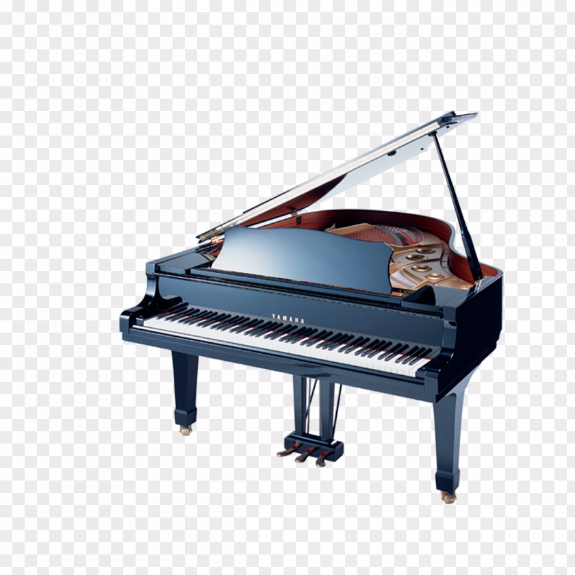 Piano Musical Instrument PNG