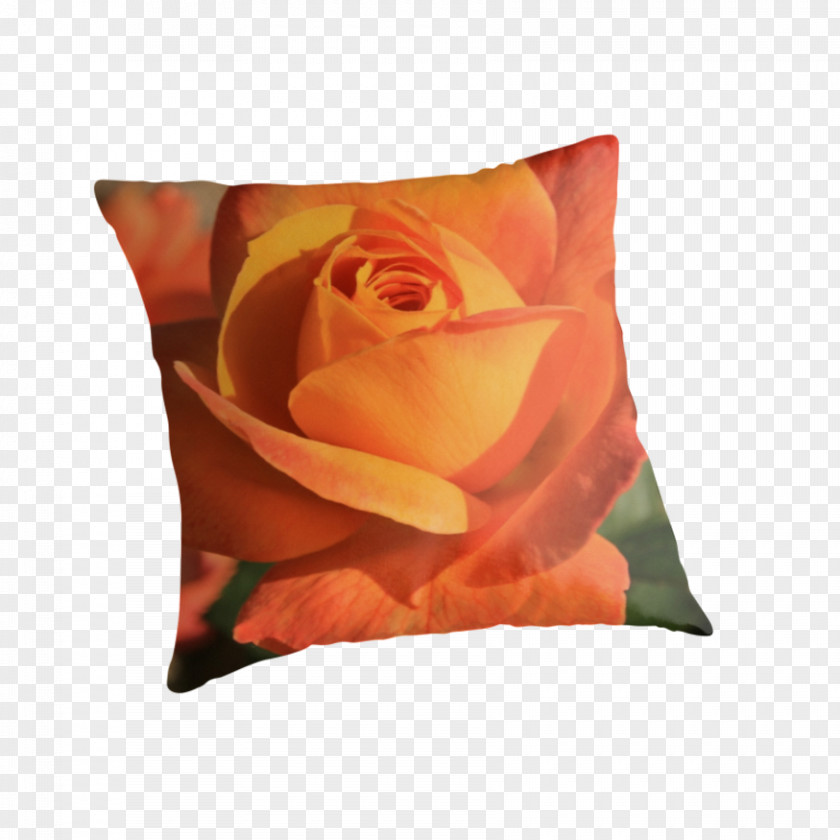 Pillow Garden Roses Throw Pillows Cushion PNG
