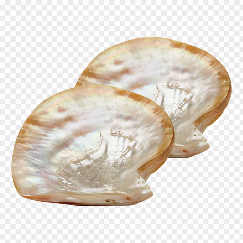 Plate Nacre Pearl Oyster Caviar Spoon PNG