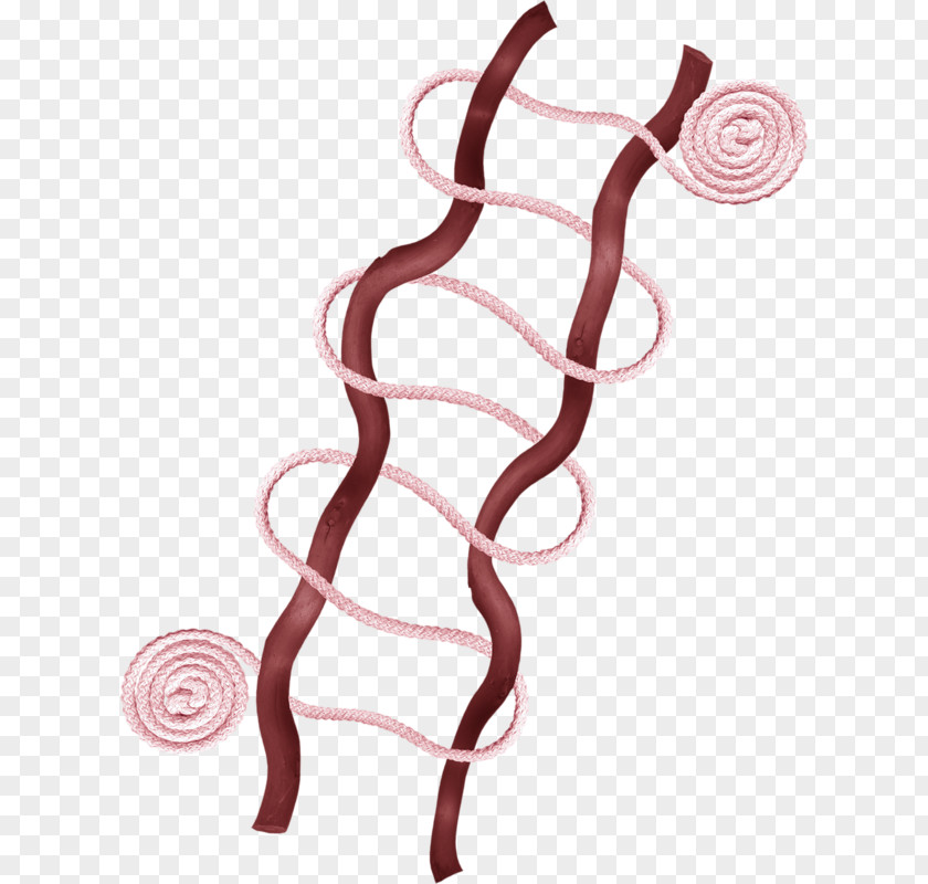 Rope And SFAS Pink Clip Art PNG