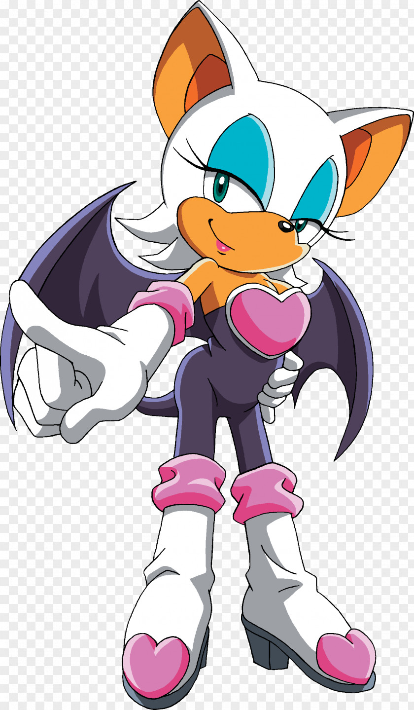 Rouge The Bat Shadow Hedgehog Amy Rose Sonic Chronicles: Dark Brotherhood PNG