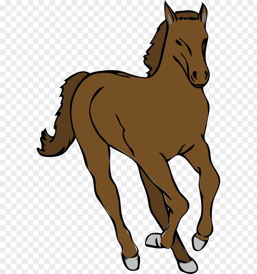 Running Horse Images Tennessee Walking Foal Colt Canter And Gallop Clip Art PNG