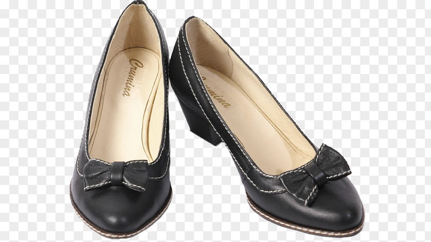 Boot High-heeled Shoe Footwear Ballet Flat PNG