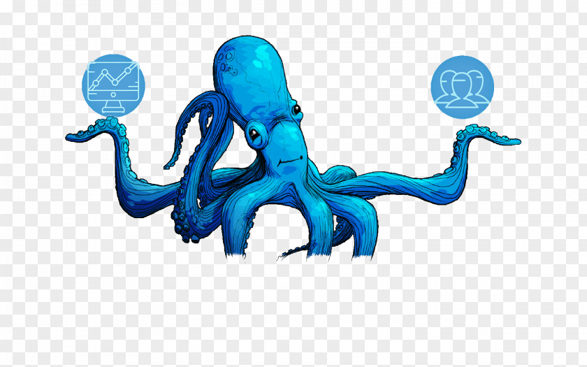 Octopus Menu Designs Squid Cephalopod Clip Art PNG