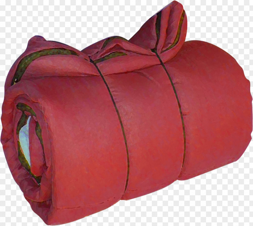 Sleeping Bags Thermal Bag PNG