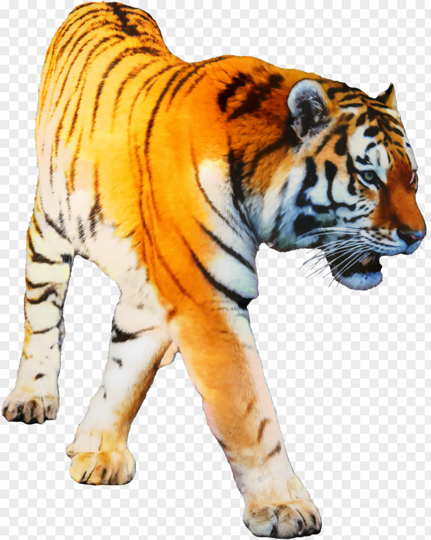 Tiger Transparency Clip Art Desktop Wallpaper PNG