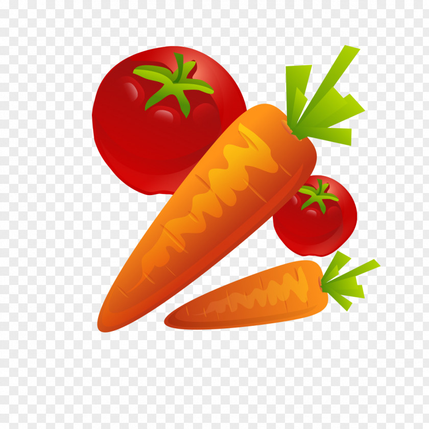 Carrots And Tomatoes Download Icon PNG