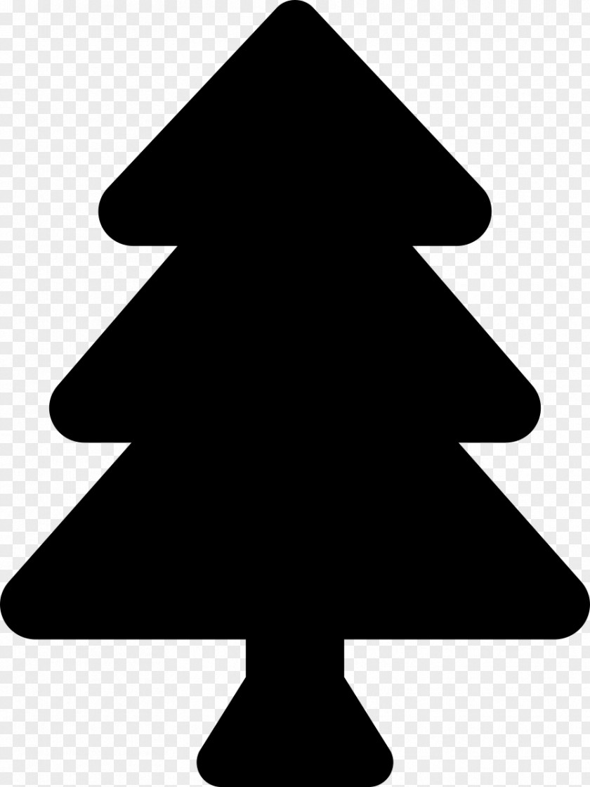 Evergreen Conifer Christmas Tree PNG