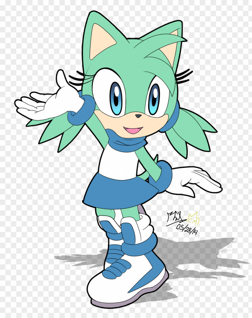 Hedgehog Sonic The Amy Rose Boom Sega PNG