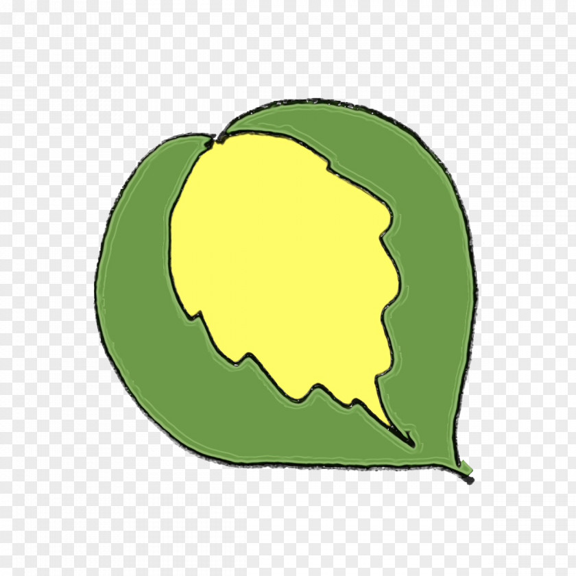 Leaf Squash Green M-tree Fruit PNG