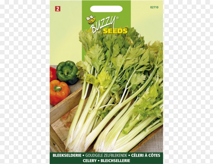 Leek Chard Vegetarian Cuisine Grow Box Rapini Celery PNG