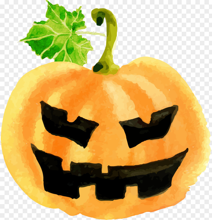 Line Match 3 Halloween Watercolor PaintingHalloween Pumpkin Cucurbita Maxima Pumpkins PNG