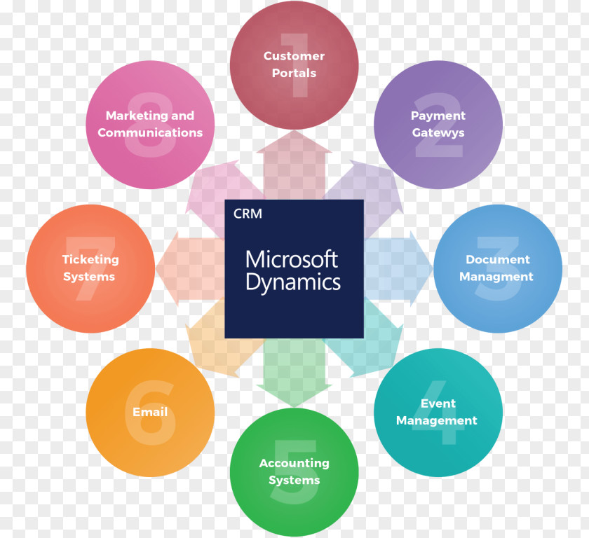 Microsoft Dynamics CRM Organization Customer Relationship Management PNG