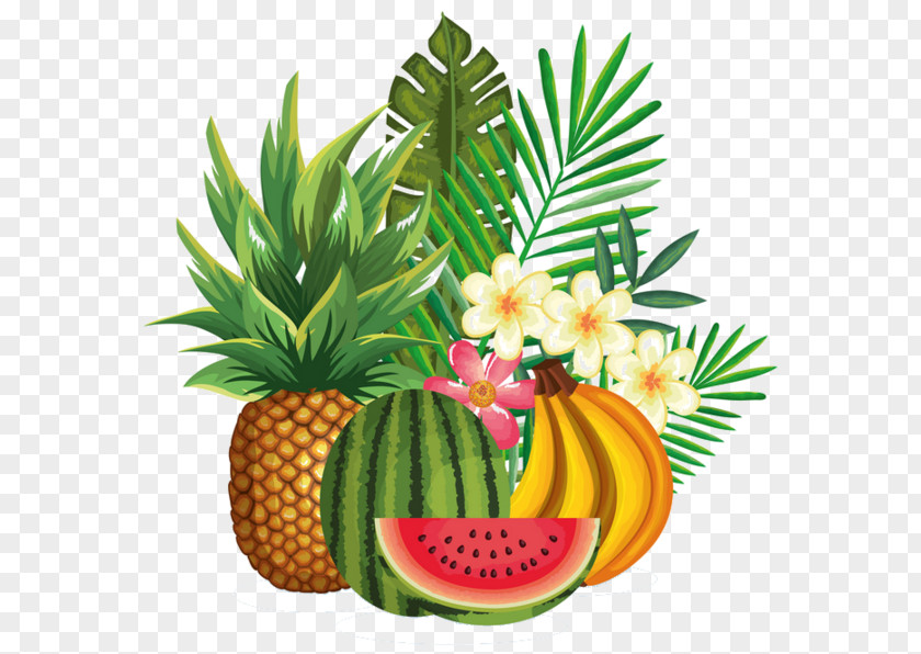 Pineapple PNG