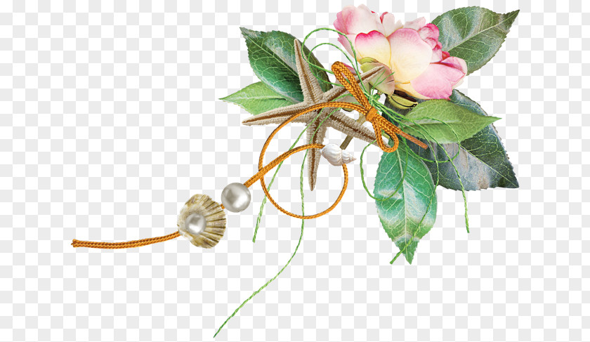Rose Family Cut Flowers Floristry Plant Stem PNG
