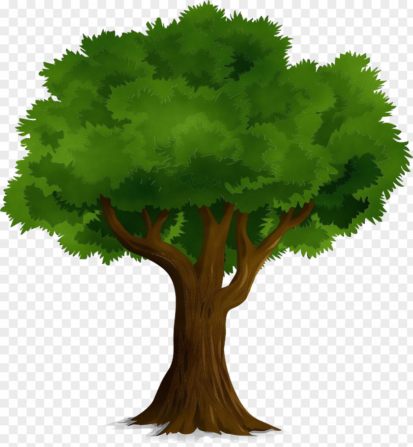 Tree Planting Cartoon Oak Watercolor Painting PNG