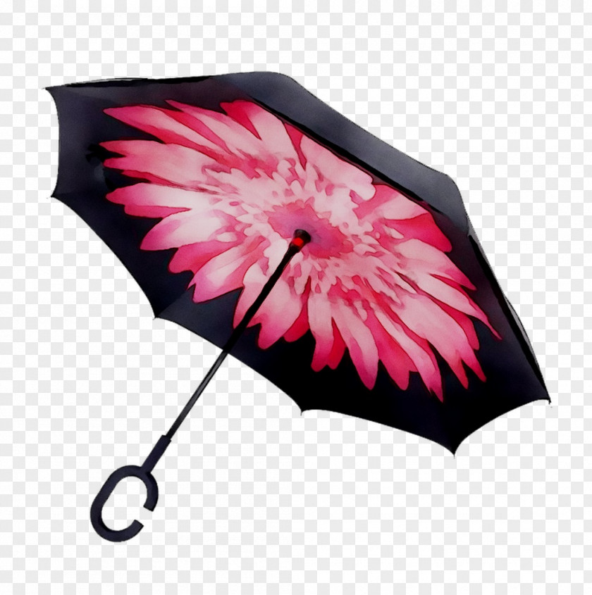 Umbrella Clothing Accessories Antuca Wallet Rain PNG
