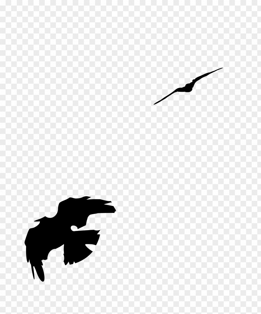 Black Crow Bird Carrion Clip Art PNG