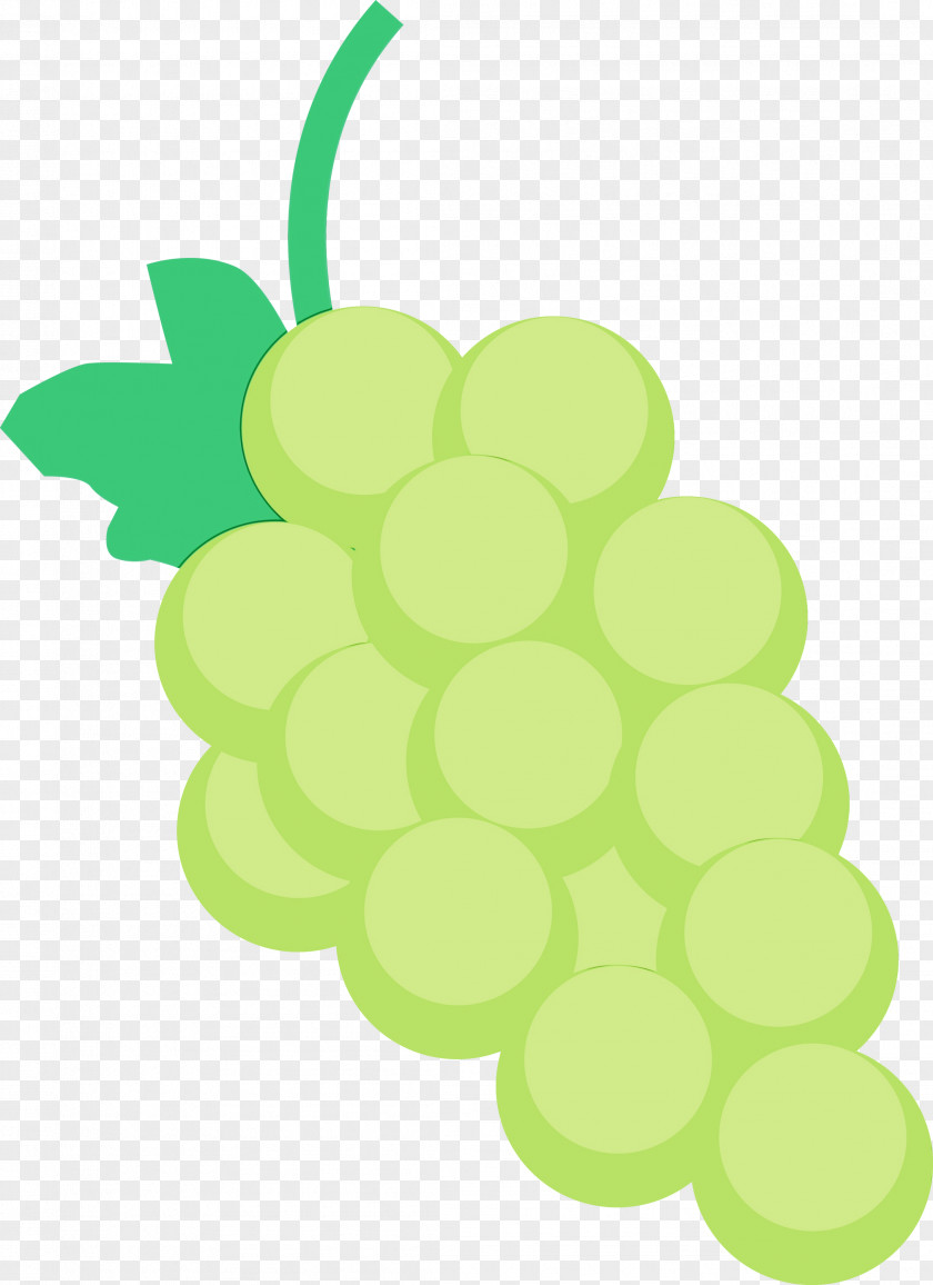 Grape Leaf Green Biology Plants PNG