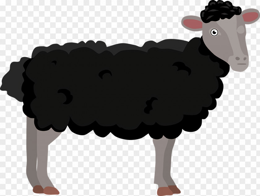 Sheep Goat Horn Cartoon Snout PNG