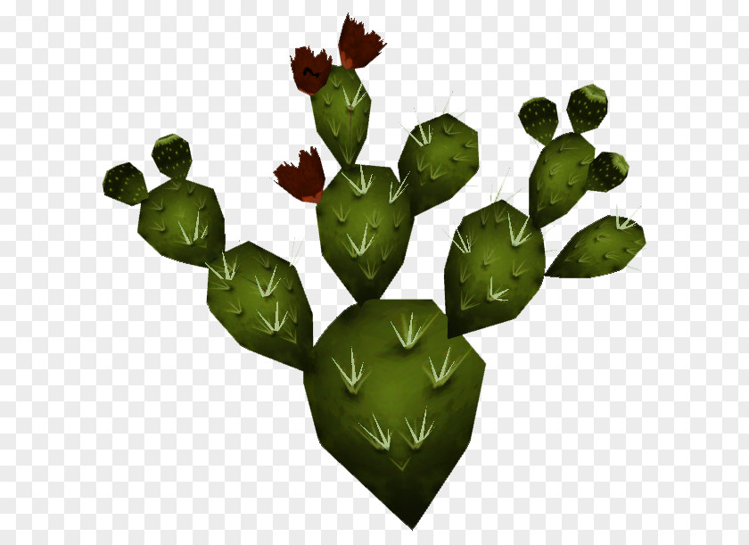 Watercolor Cactus Barbary Fig Nopal Mexico Plant Cactaceae PNG