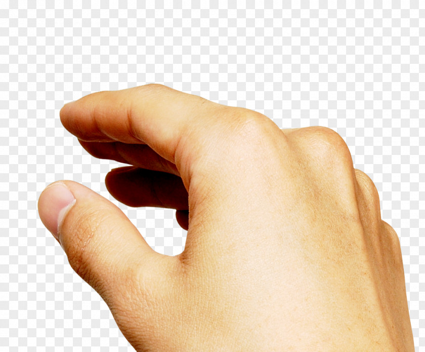 We Should Pay Attention To What Hand Element Thumb Download PNG