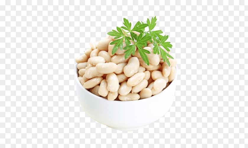 Fag Bean Salad Stock Photography Common Nut PNG