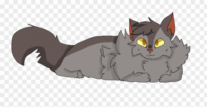 Gray Cat Kitten Whiskers Warriors Graystripe PNG