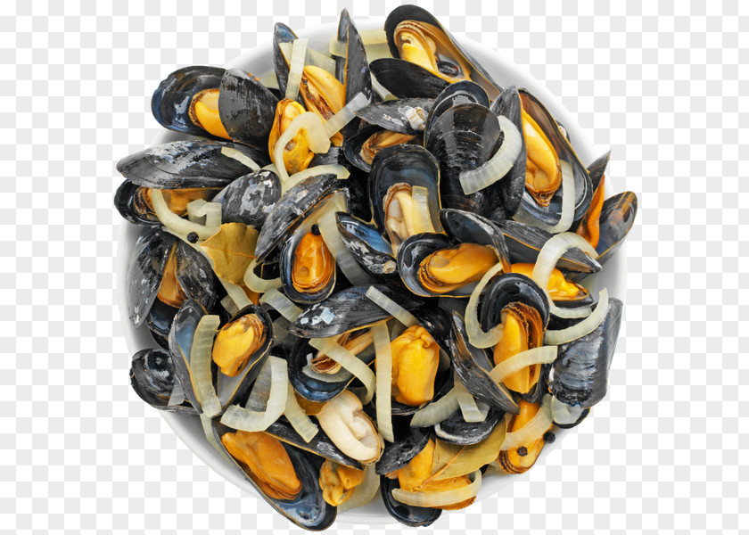 Lobster Blue Mussel Seafood PNG