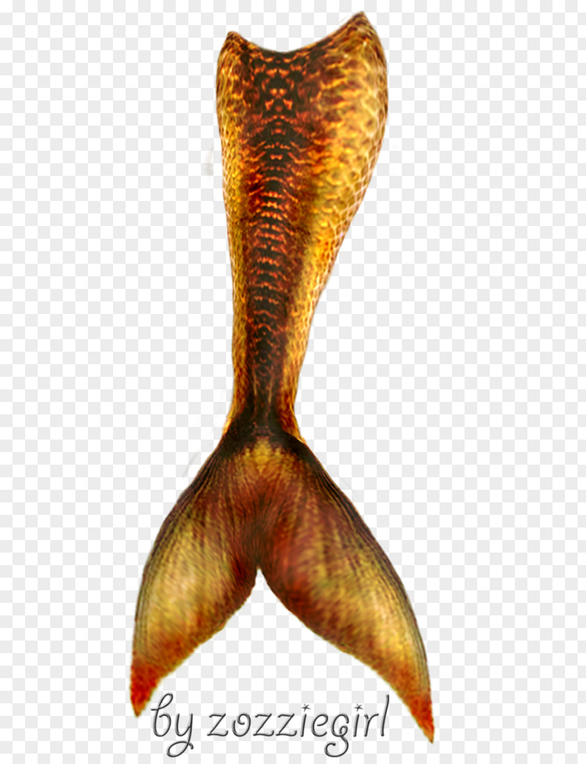 Mermaid Tail Transparent Clip Art PNG
