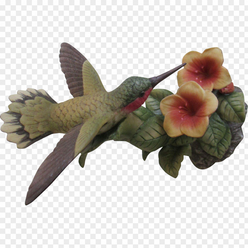 Ruby Hummingbird Beak Fauna Pollinator PNG