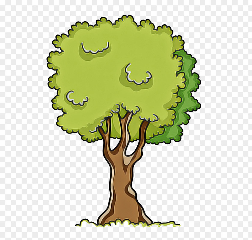 Tree Green Cartoon Woody Plant PNG
