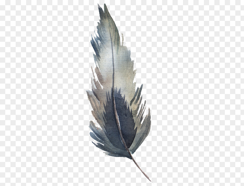 Watercolor Feather PNG