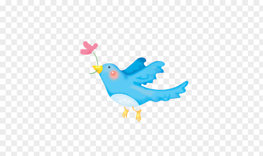 Birds Bird Cartoon Child PNG