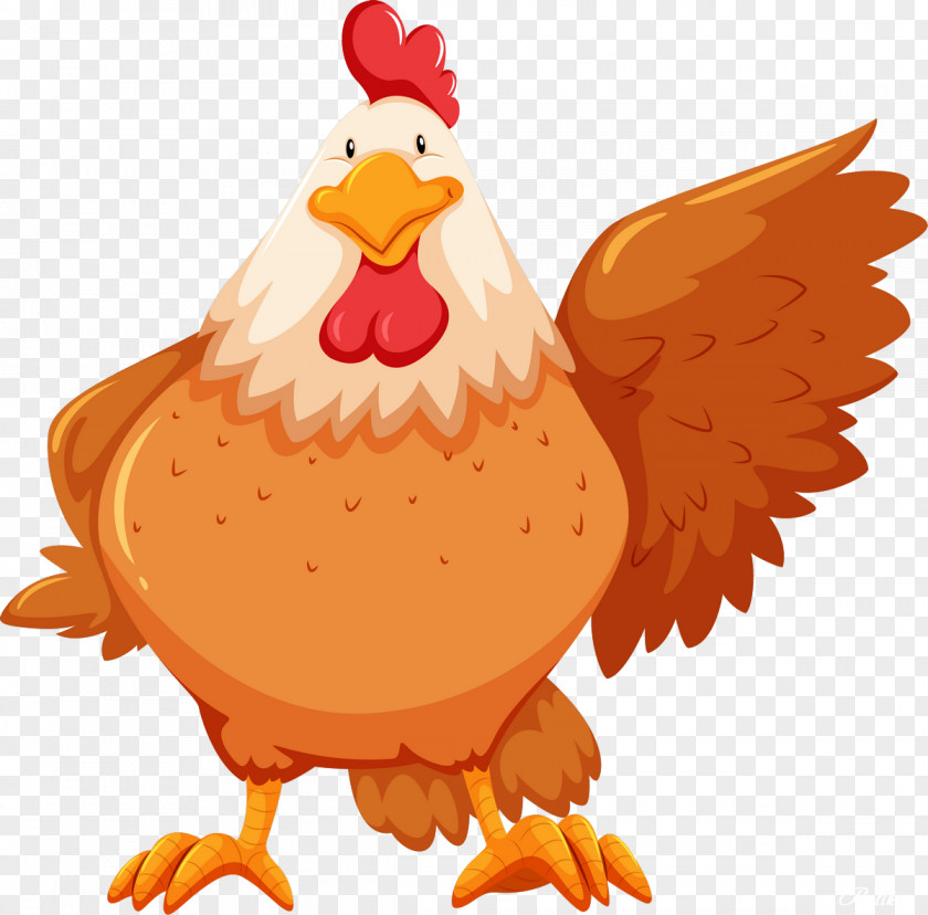 Chickens Chicken Stock Photography Royalty-free PNG