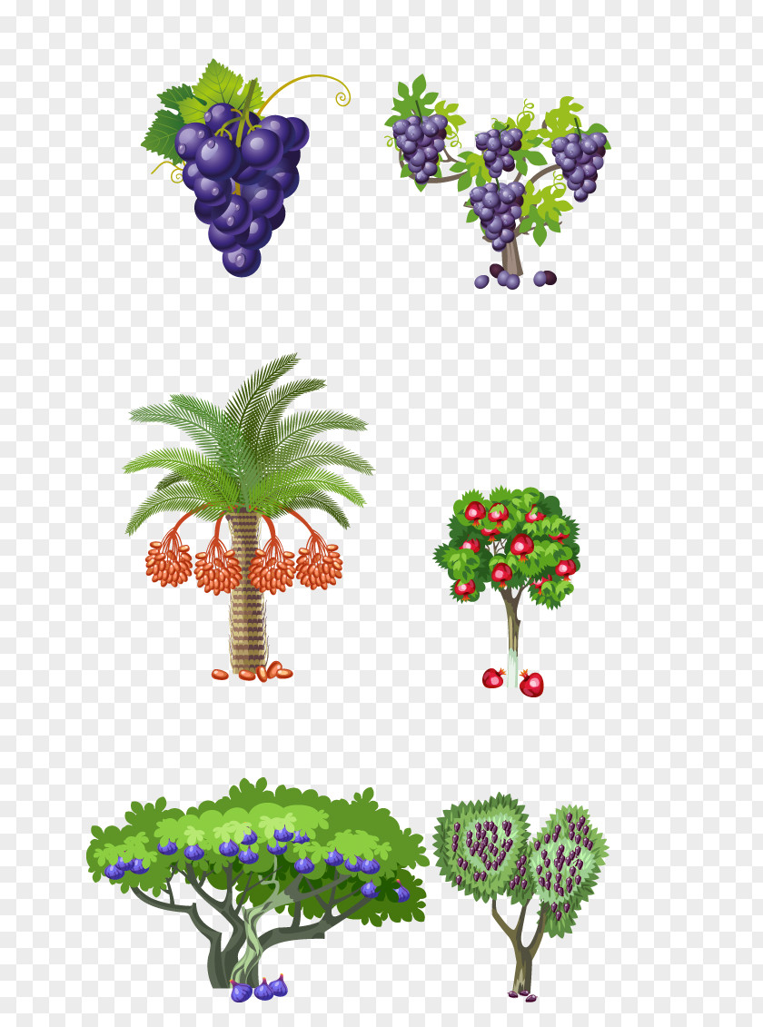 Grape Floral Design Flowerpot PNG