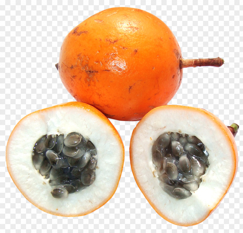 Passion Fruit PNG