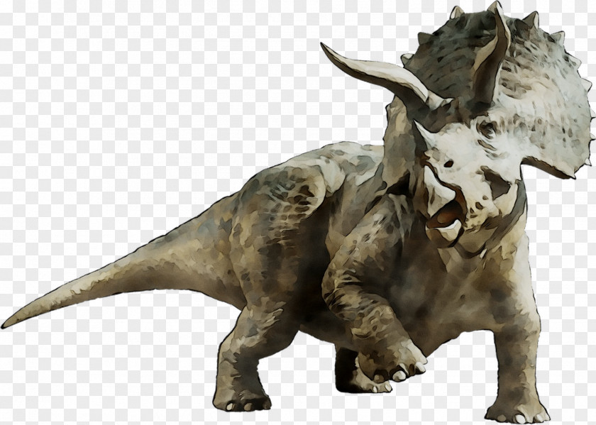 Triceratops Tyrannosaurus Dinosaur Jurassic World Park PNG
