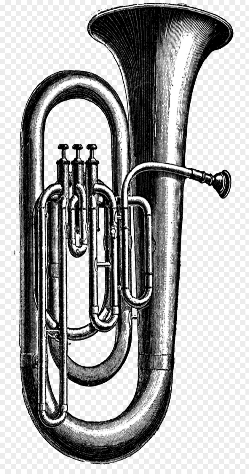Tuba Musical Instruments Sousaphone Clip Art PNG