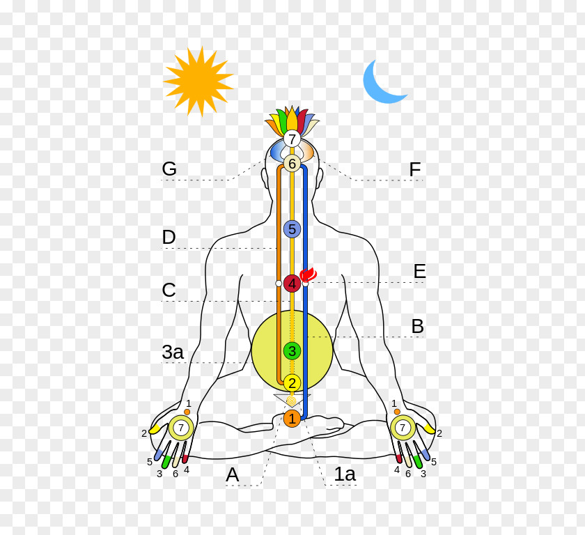 Chakra Muladhara Subtle Body Energy Kundalini PNG